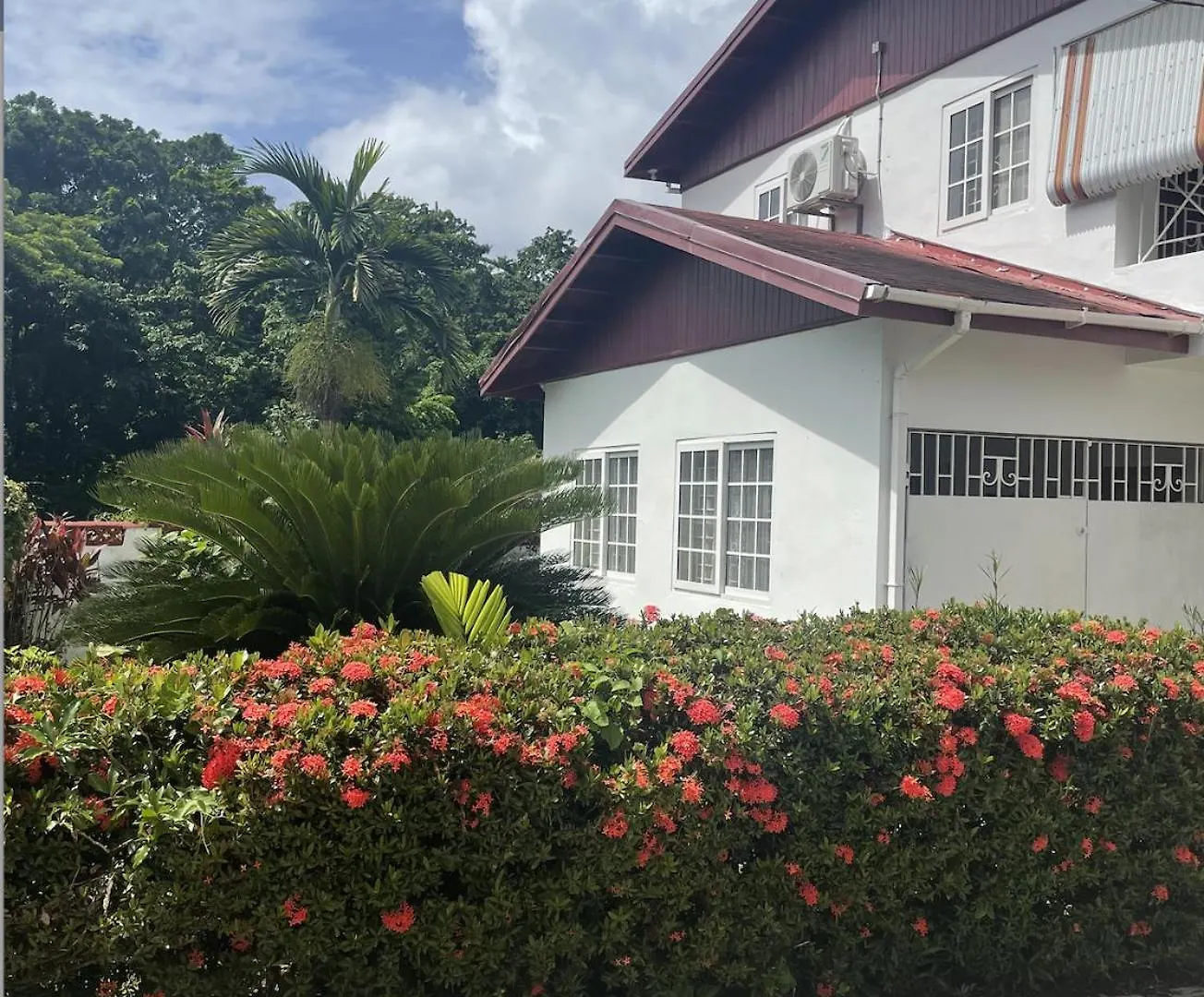 Eco Friendly Oasis Near Beaches And Waterfalls بورت أنطونيو 0*,  جامايكا